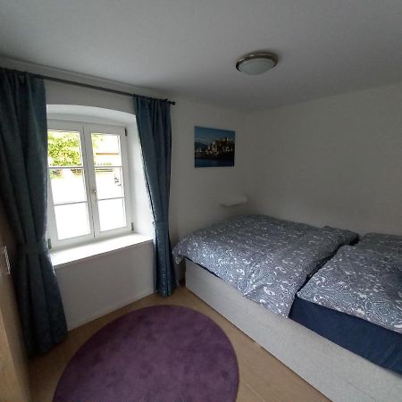 Apartment Salzburg City מראה חיצוני תמונה